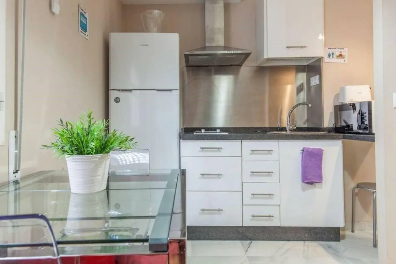 A1 Centro Sevilla Pga - Museo - Alameda - Cartuja Apartment
